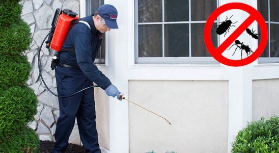 Yurdoğlu Pire İlaçlama böcek ilaçlama ve haşere kontrolü — ilaclama-tr.com